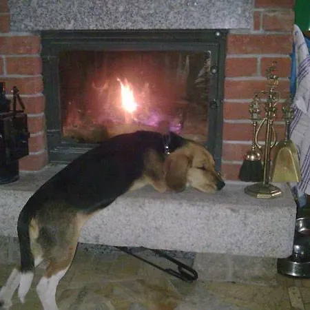 Agroturystyka Gize Farma *