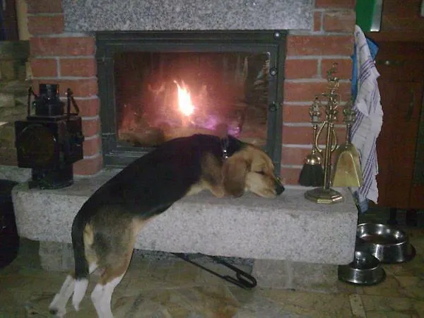 Agroturystyka Gize Agroturismo *